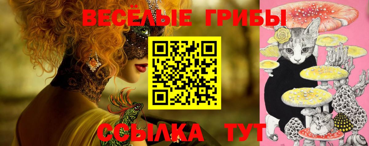 Галлюциногенные грибы Cubensis Краснокаменск